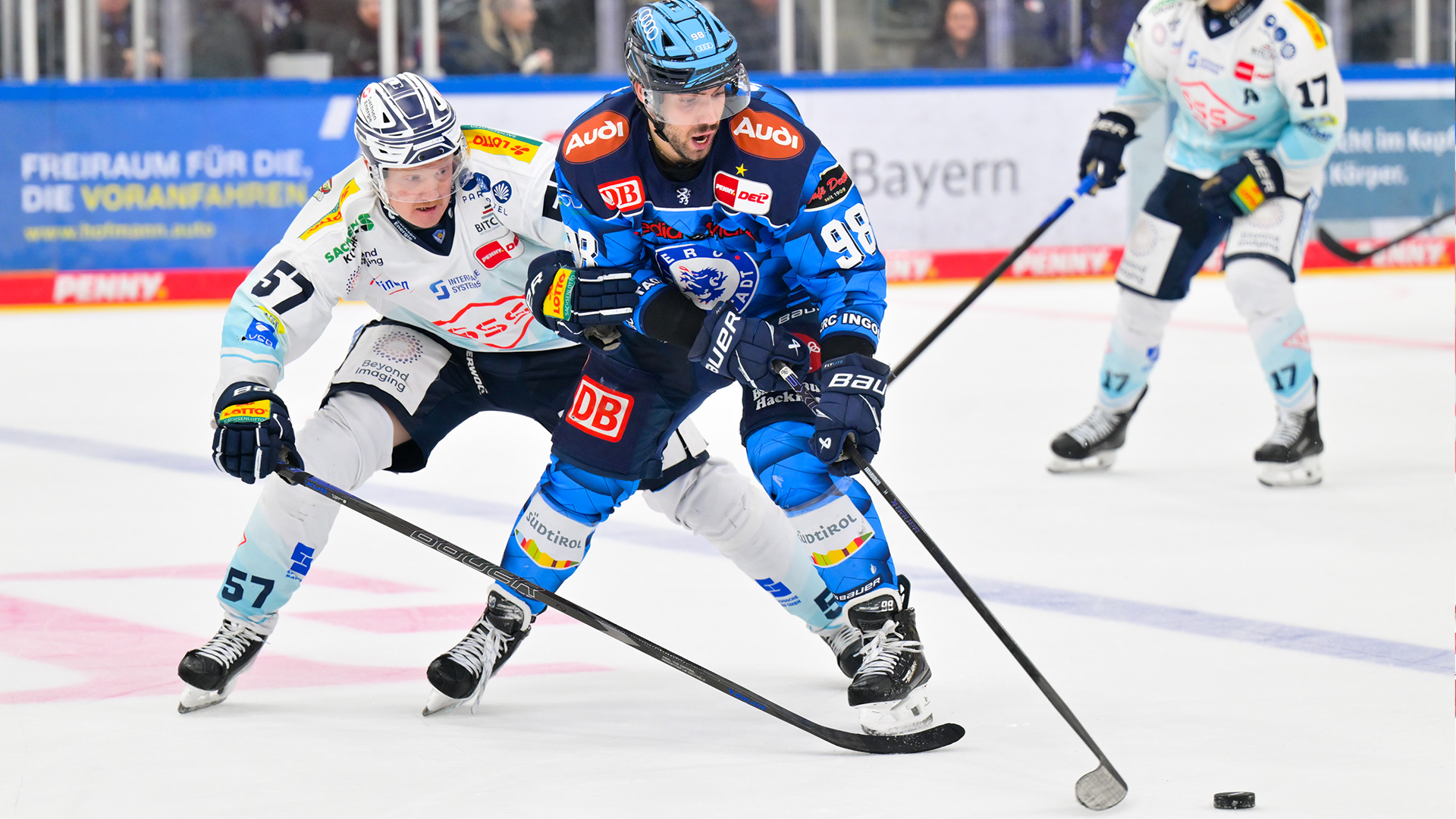 ERC Ingolstadt gg. Dresdner Eislöwen